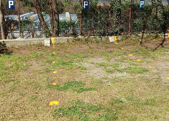 Il Guscio