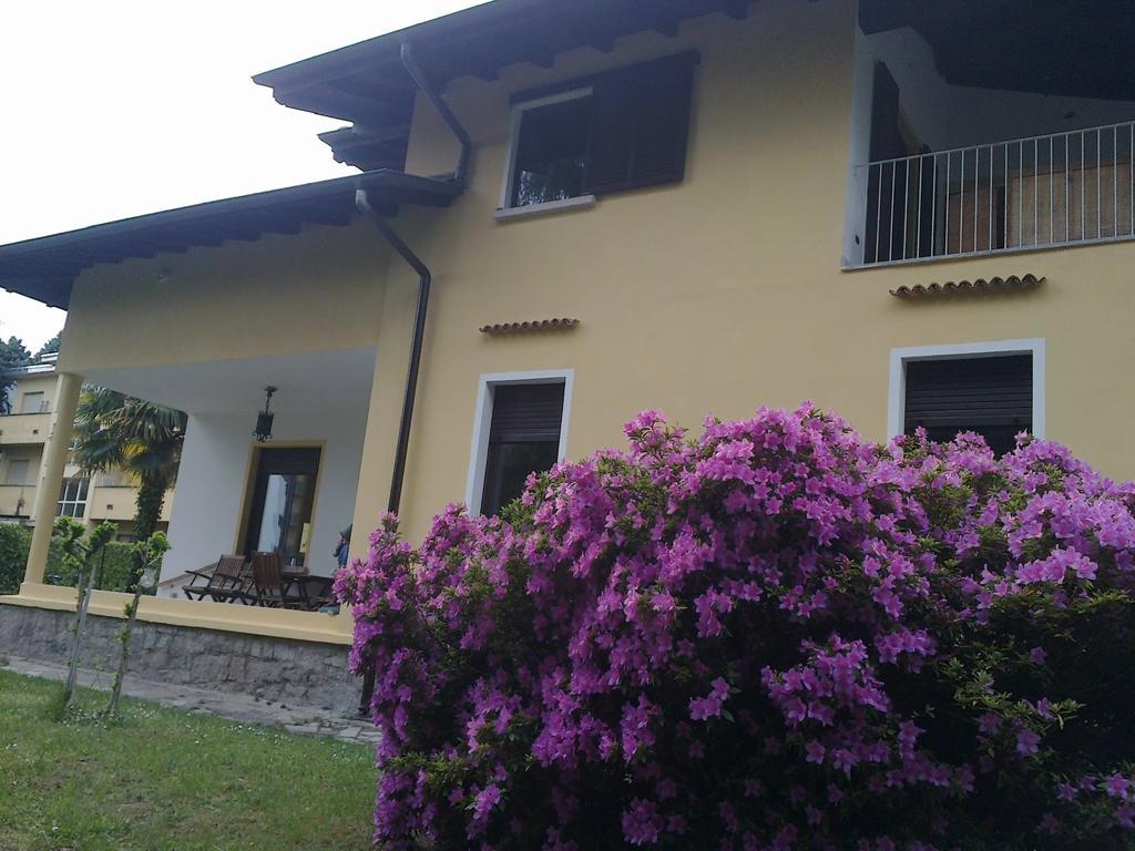 Il Guscio Baveno