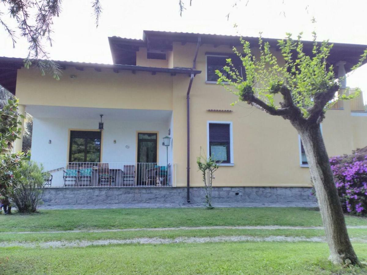 Il Guscio *
